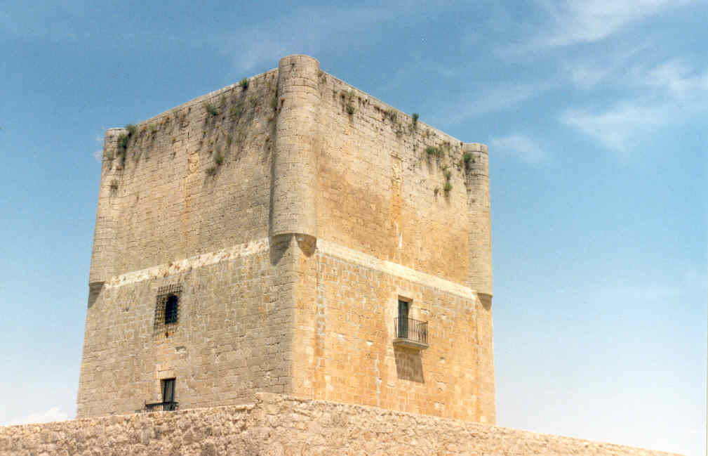 Las Cabañas de Castilla, Castillo de Asociación española de amigos de